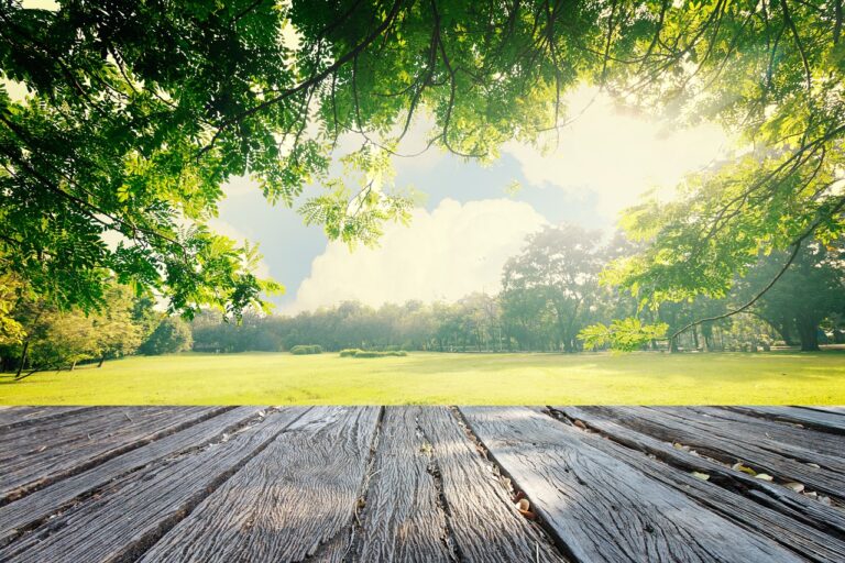 ゴルフ天国のタイでゴルフを満喫！リゾート、都市、観光を楽しむゴルフプラン1Day完全ガイド